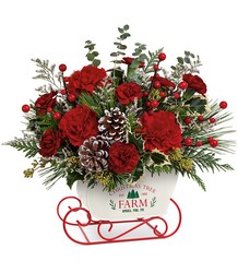 Snow What Fun Bouquet from Weidig's Floral in Chardon, OH